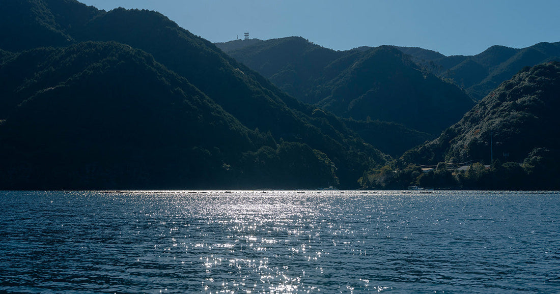 尾鷲ってどんなところ？――海とつながる尾鷲の林業